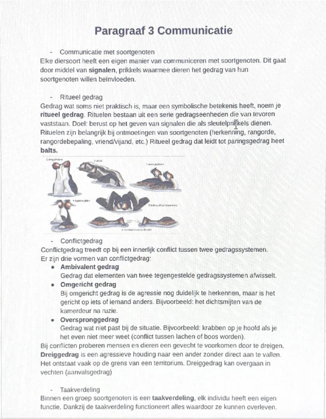 Paragraaf 1 Dierenwelzijn
- Functies van gedrag
Gedrag is alles wat dieren doen. Ze zijn hier voortdurend mee bezig. Wilde varkens
zoeken na