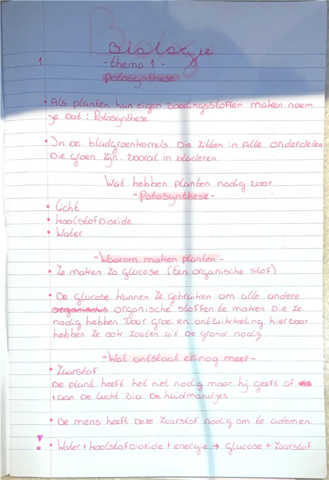 Biologie aantekeningen en samenvattingen