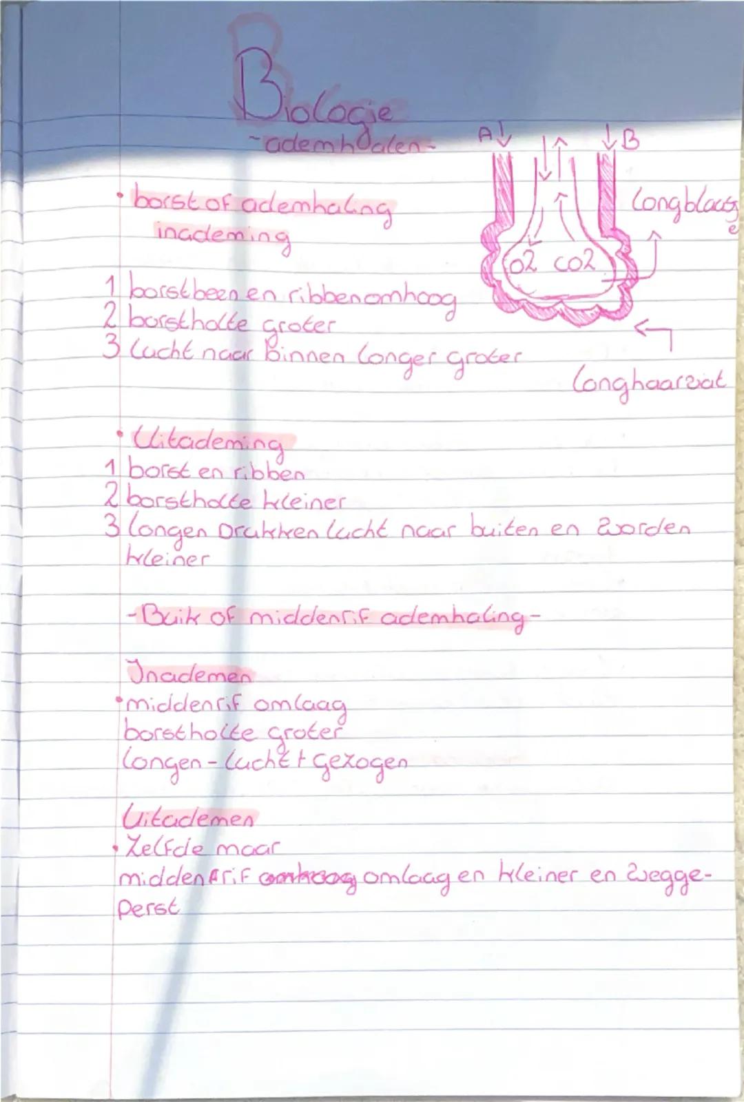 1

Bis
Gialogie
-thema 1-
Potosynthese

• Als planten hun eigen zwedingsstoffen maken noem.
Je oat: Polosynthese.

• In de bladgroentrorrels