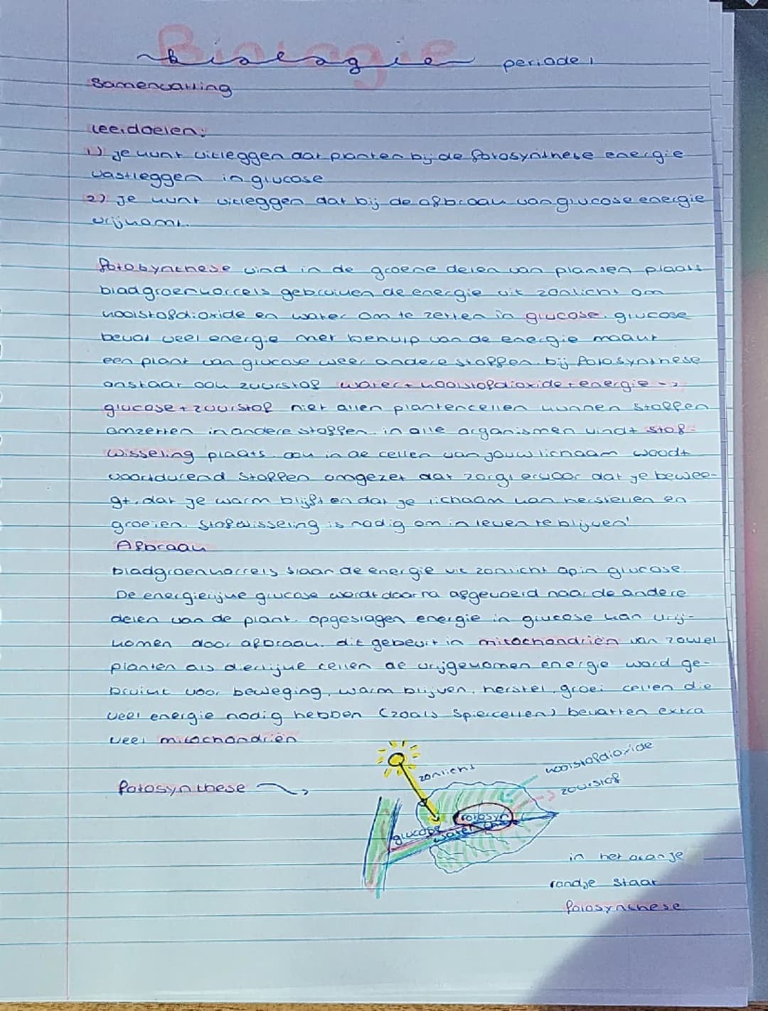 # biologie periode i

Samenvatting

lee.doelen

1) je uunt uitleggen dat planten bij de fotosynthese energie.
vastleggen in glucose

2) je u