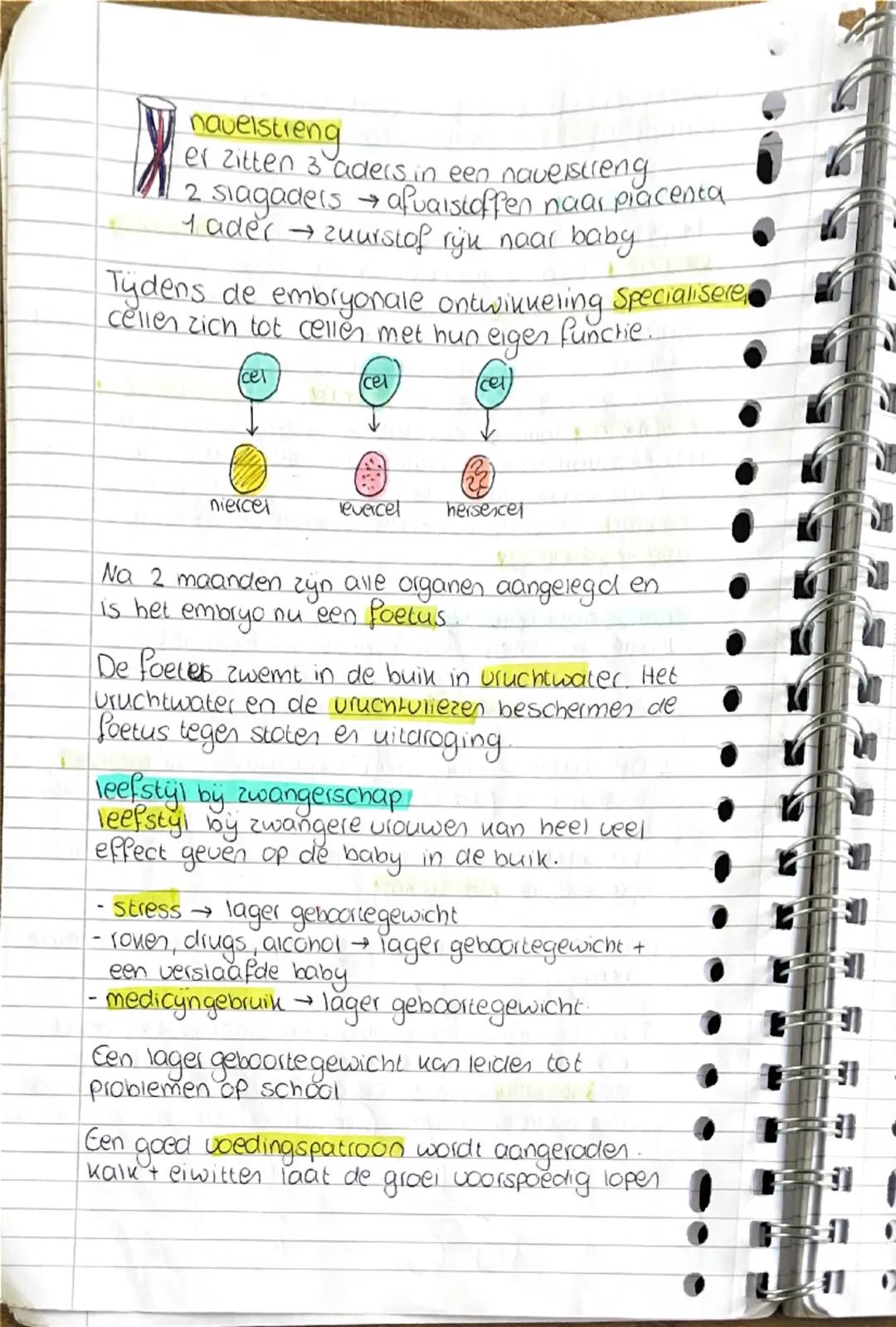 # biologie hoofdstuk 4 ~ voortplanting
# paragraaf 4.1: van eicel tot baby

## bevruchting
1x per maand komt er een eicel vrij: de **eispron
