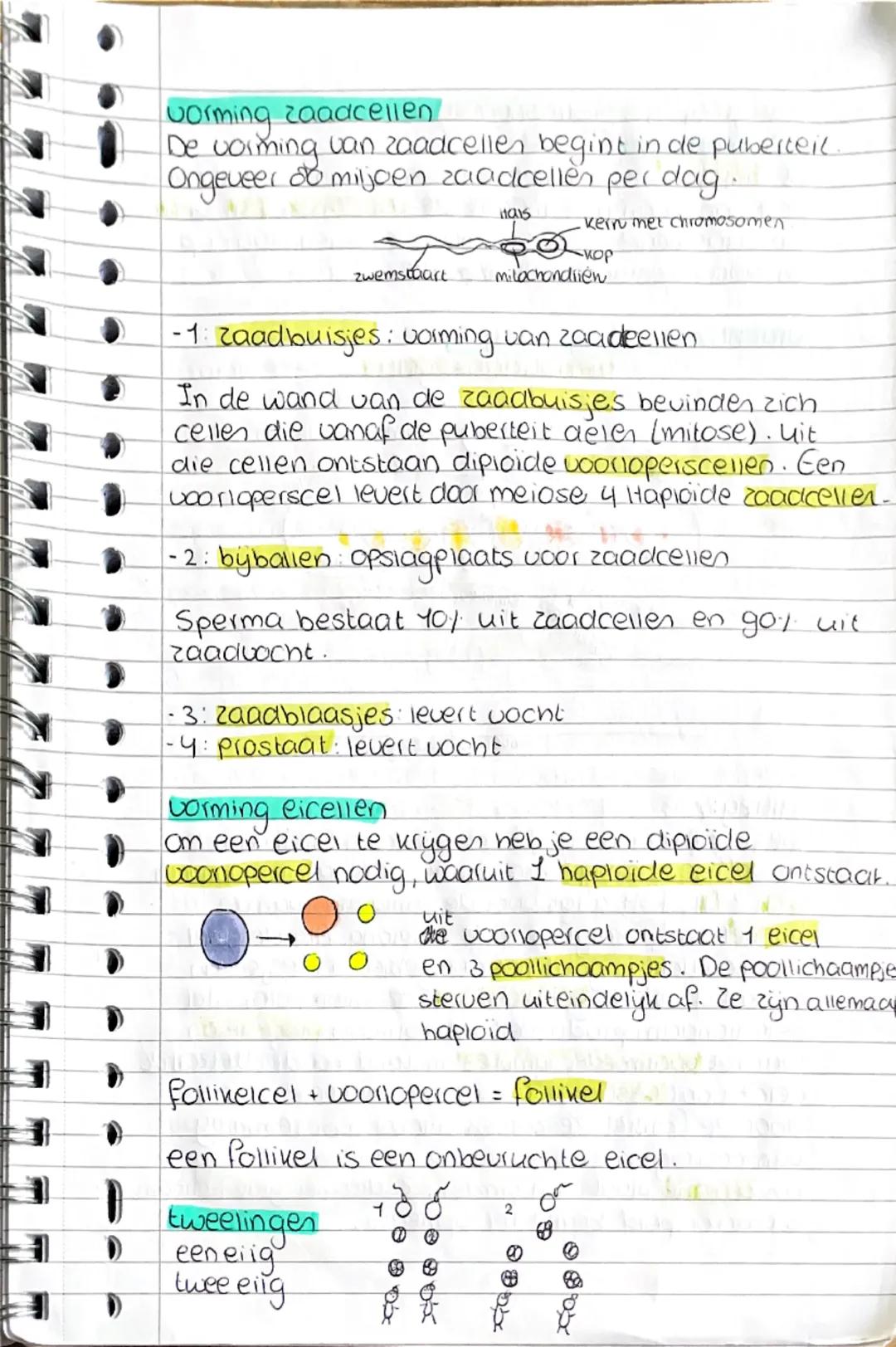 # biologie hoofdstuk 4 ~ voortplanting
# paragraaf 4.1: van eicel tot baby

## bevruchting
1x per maand komt er een eicel vrij: de **eispron
