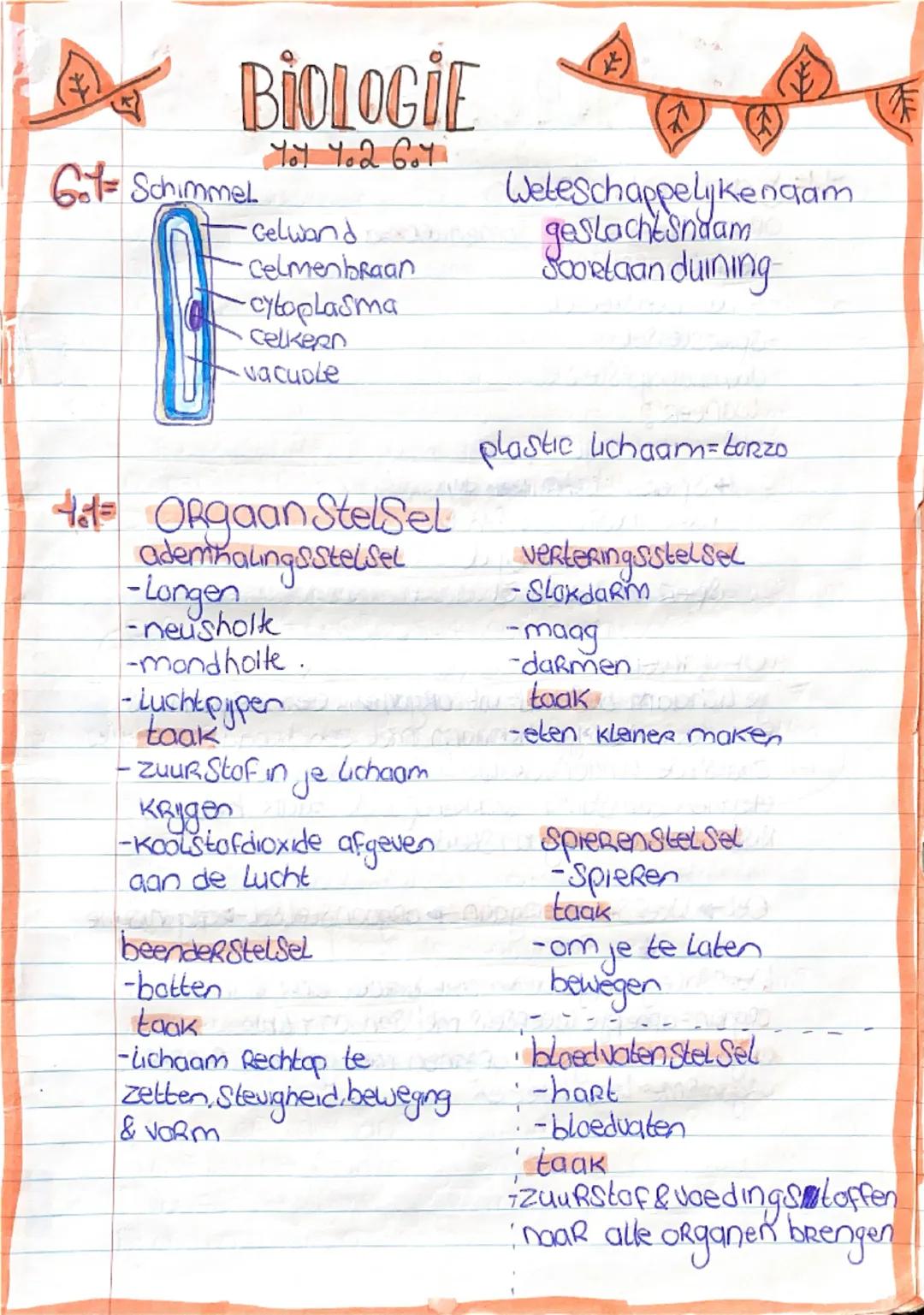 # BIOLOGIE
401 402 607

601 de 4 Ryken
- Dieren Ryk
-plantenkyk
-Schimmelryk
-bacterie Rijk

organisme indelen
Soort
geslacht
familie
Orde
K