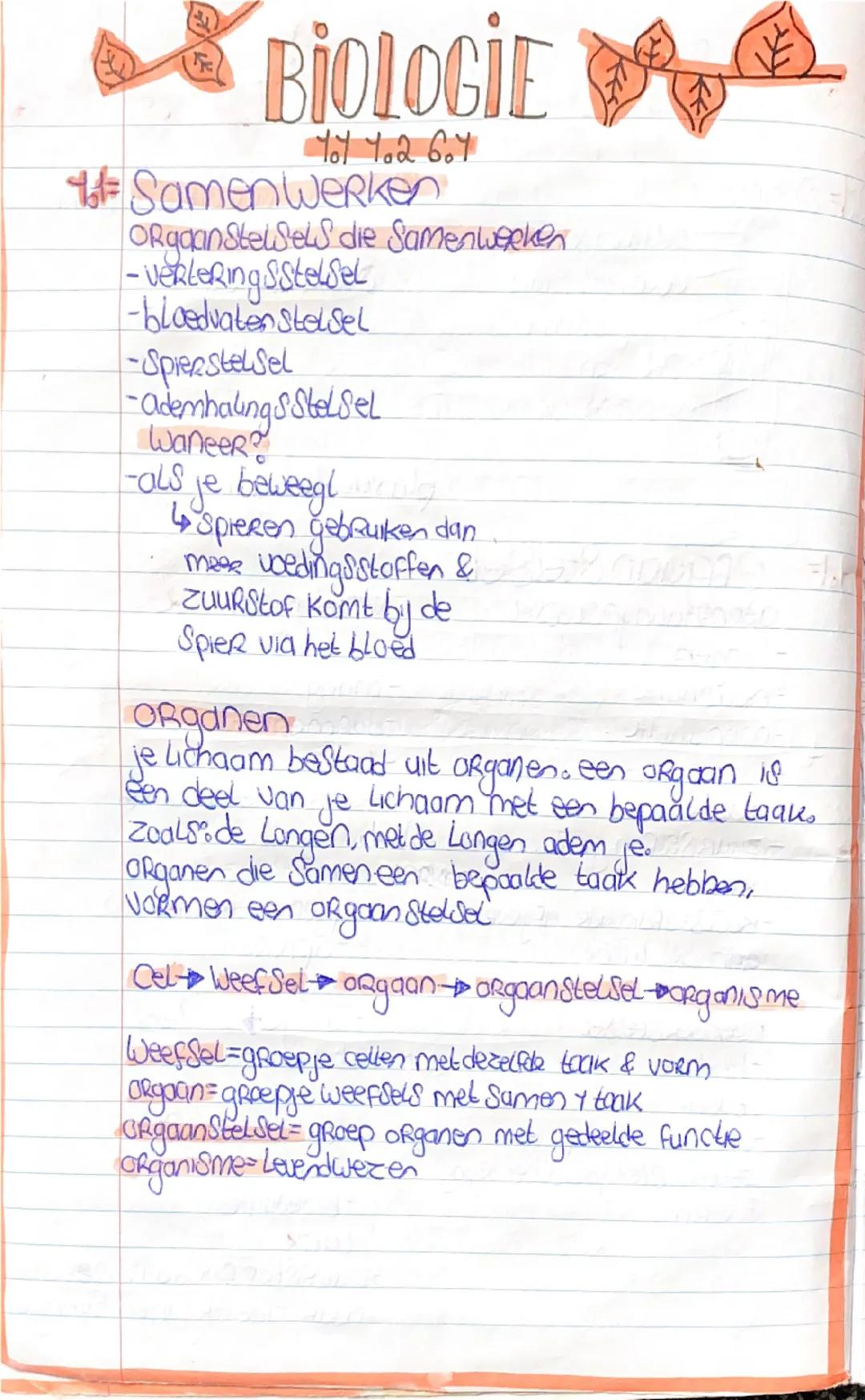 # BIOLOGIE
401 402 607

601 de 4 Ryken
- Dieren Ryk
-plantenkyk
-Schimmelryk
-bacterie Rijk

organisme indelen
Soort
geslacht
familie
Orde
K