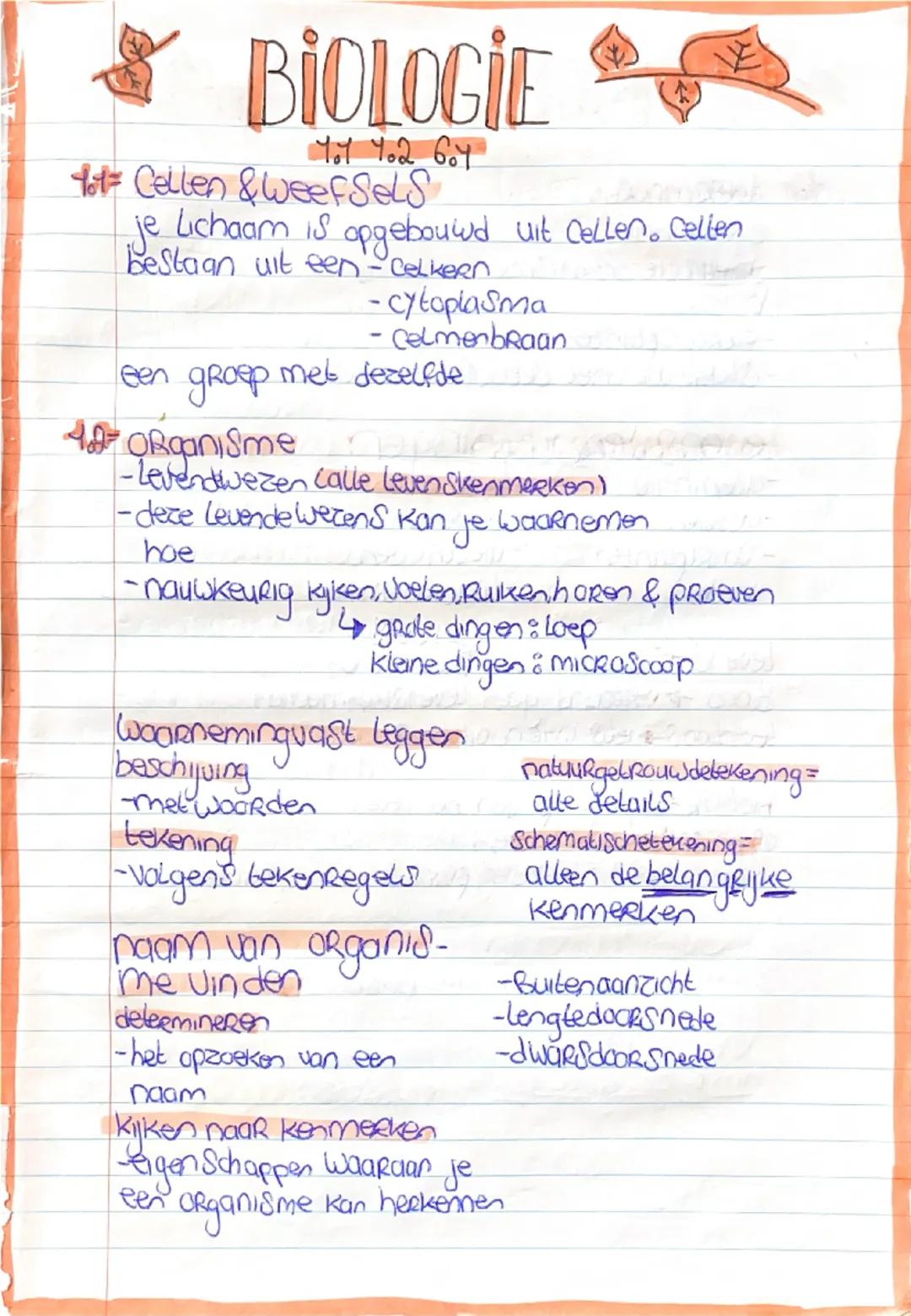 # BIOLOGIE
401 402 607

601 de 4 Ryken
- Dieren Ryk
-plantenkyk
-Schimmelryk
-bacterie Rijk

organisme indelen
Soort
geslacht
familie
Orde
K