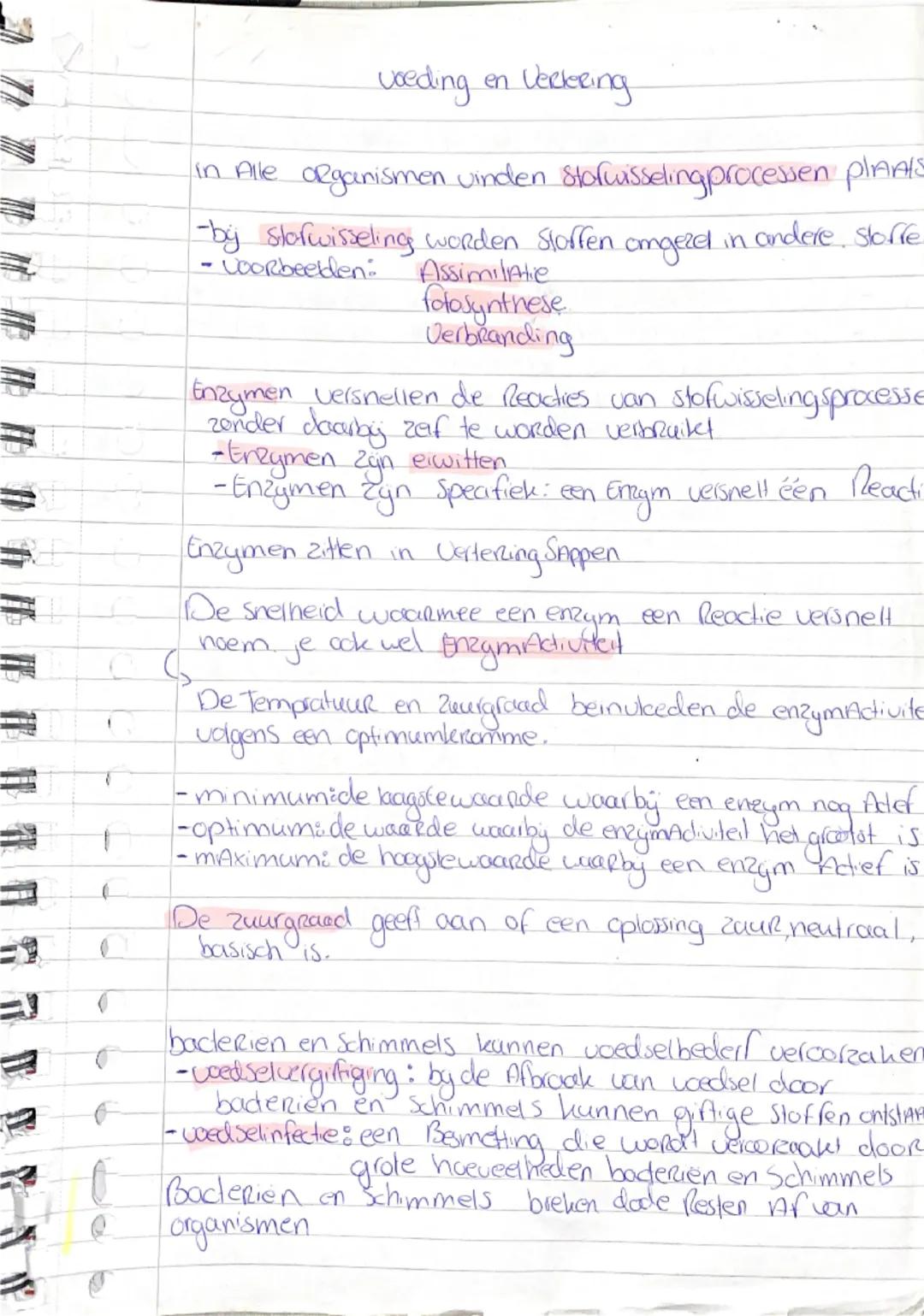 Voeding en Vertering: Begrijp de Basis