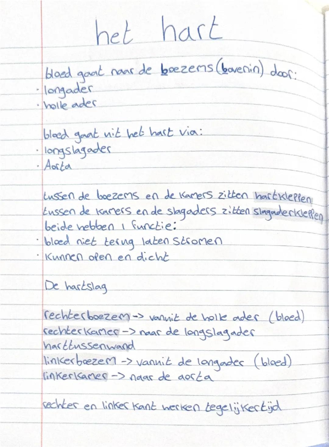 # het hart

bloed gaat naar de boezems (bovenin) door:
- longader
- holle ader

bloed gaat uit het hart via:
- longslagader
- Aorta

tussen 