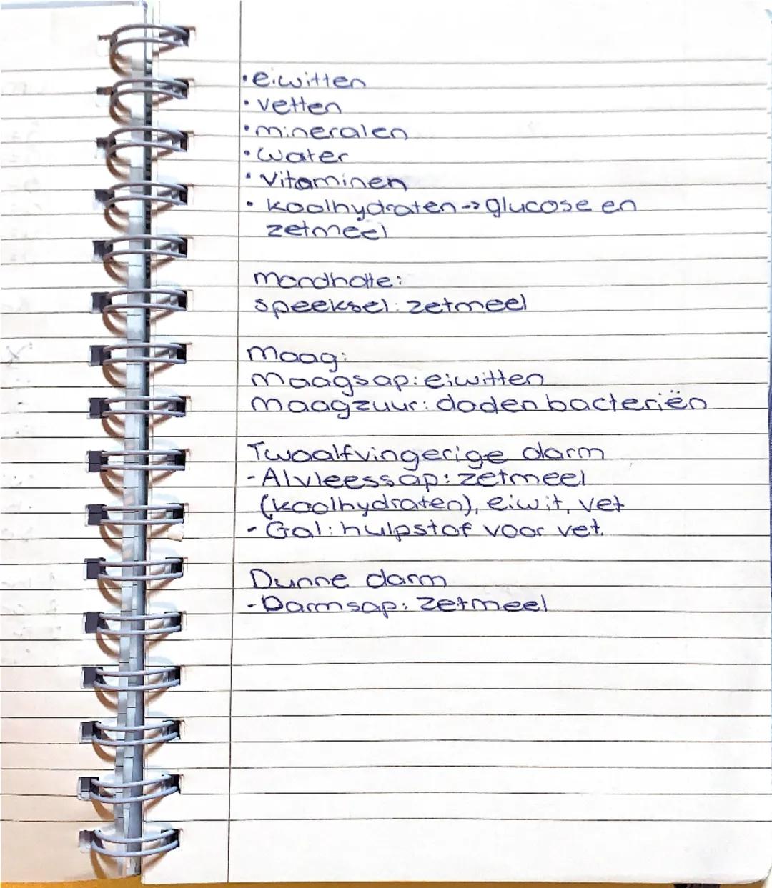 voedselbederf
Als voedingsmiddelen niet
meer goed zijn door schimmels.
en bacterien
voedselinfectie
Als je ziek word van voedsel
Conserveren