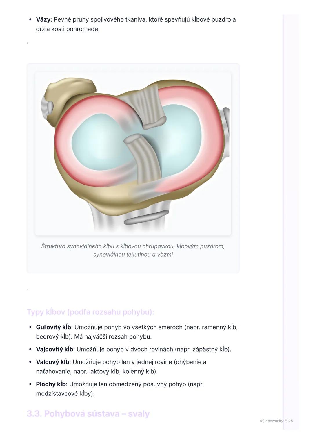 # Oporná a pohybová sústava

1. Prehľad opornej a pohybovej sústavy

Takže, oporná a pohybová sústava je vlastne taký náš vnútorný "stavebný