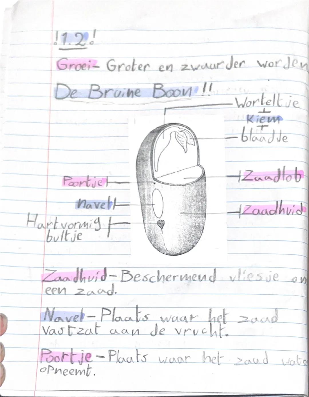 Aantekeningen Toets!!-Bio. Hfd. 1

!1.1!

Een organisme
-Een levend wezen

Organismen zijn:
-Men sen
-dieren
-Planten
-Bacteriën
-Schimmels
