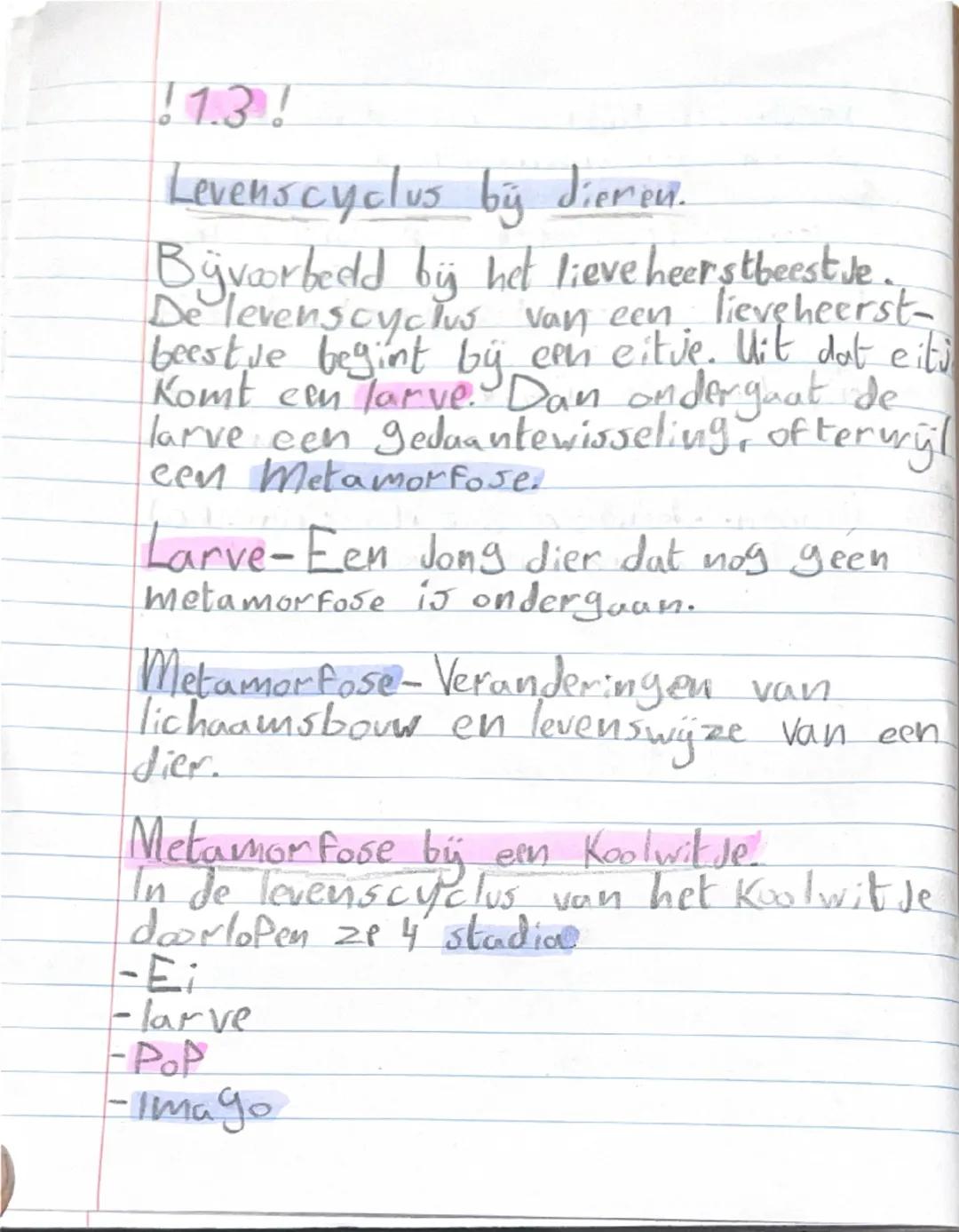 Aantekeningen Toets!!-Bio. Hfd. 1

!1.1!

Een organisme
-Een levend wezen

Organismen zijn:
-Men sen
-dieren
-Planten
-Bacteriën
-Schimmels

