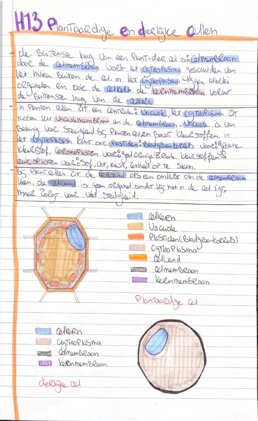 H13 Plantaardige en dierlijke cellen
- de Buitenste laag van een plant-dier cel is: Celmembraan
door de Celmembraan wordt het Cytoplasma ges