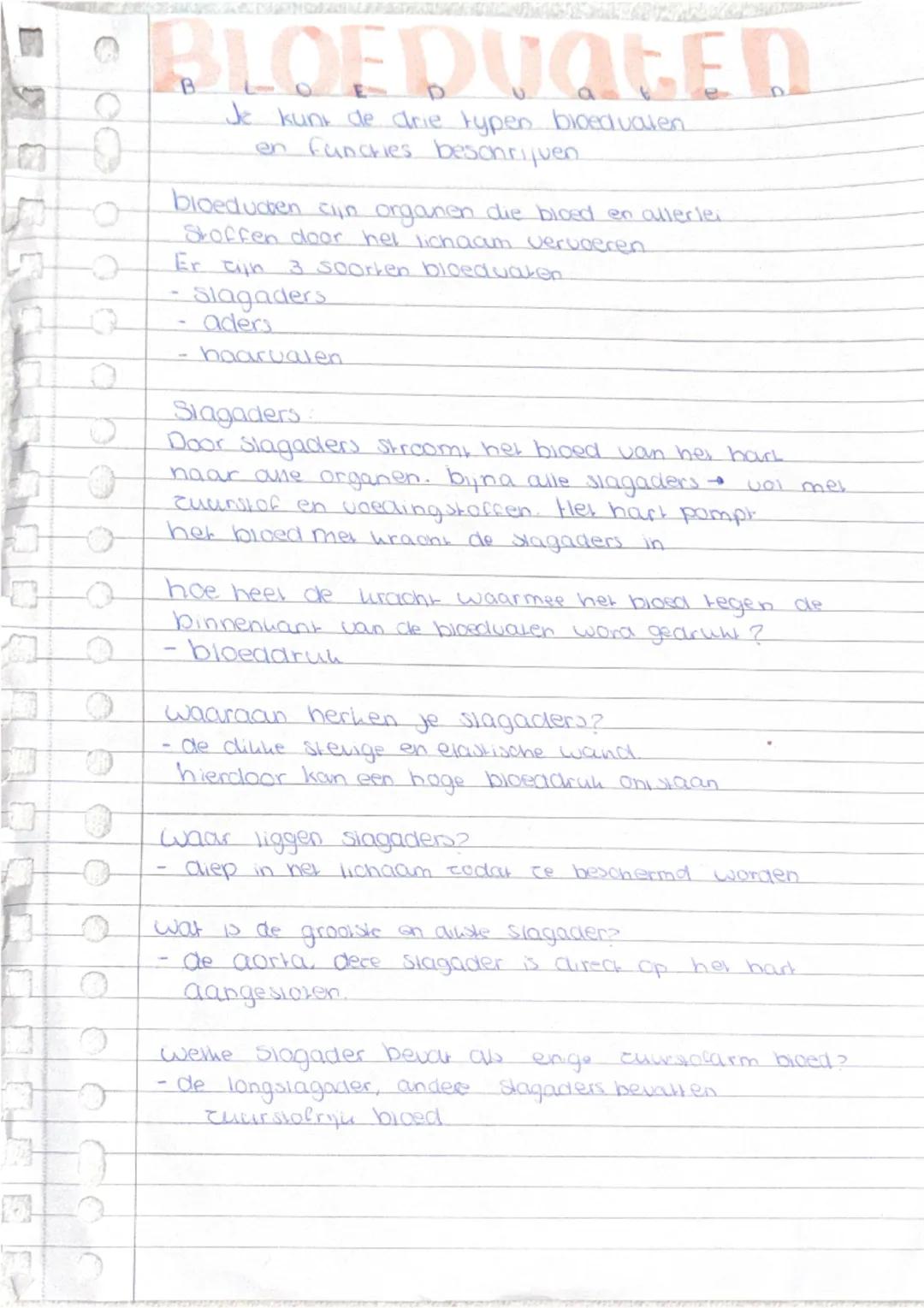 # BLOEDVATEN

Je kunt de drie typen bloedvaten
en functies beschrijven

bloedvaten zijn organen die bloed en allerlei
stoffen door het licha