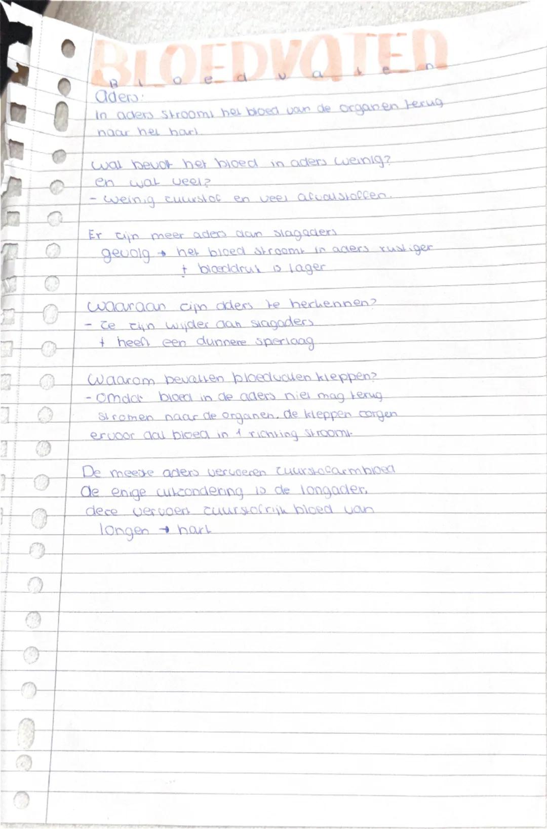 # BLOEDVATEN

Je kunt de drie typen bloedvaten
en functies beschrijven

bloedvaten zijn organen die bloed en allerlei
stoffen door het licha