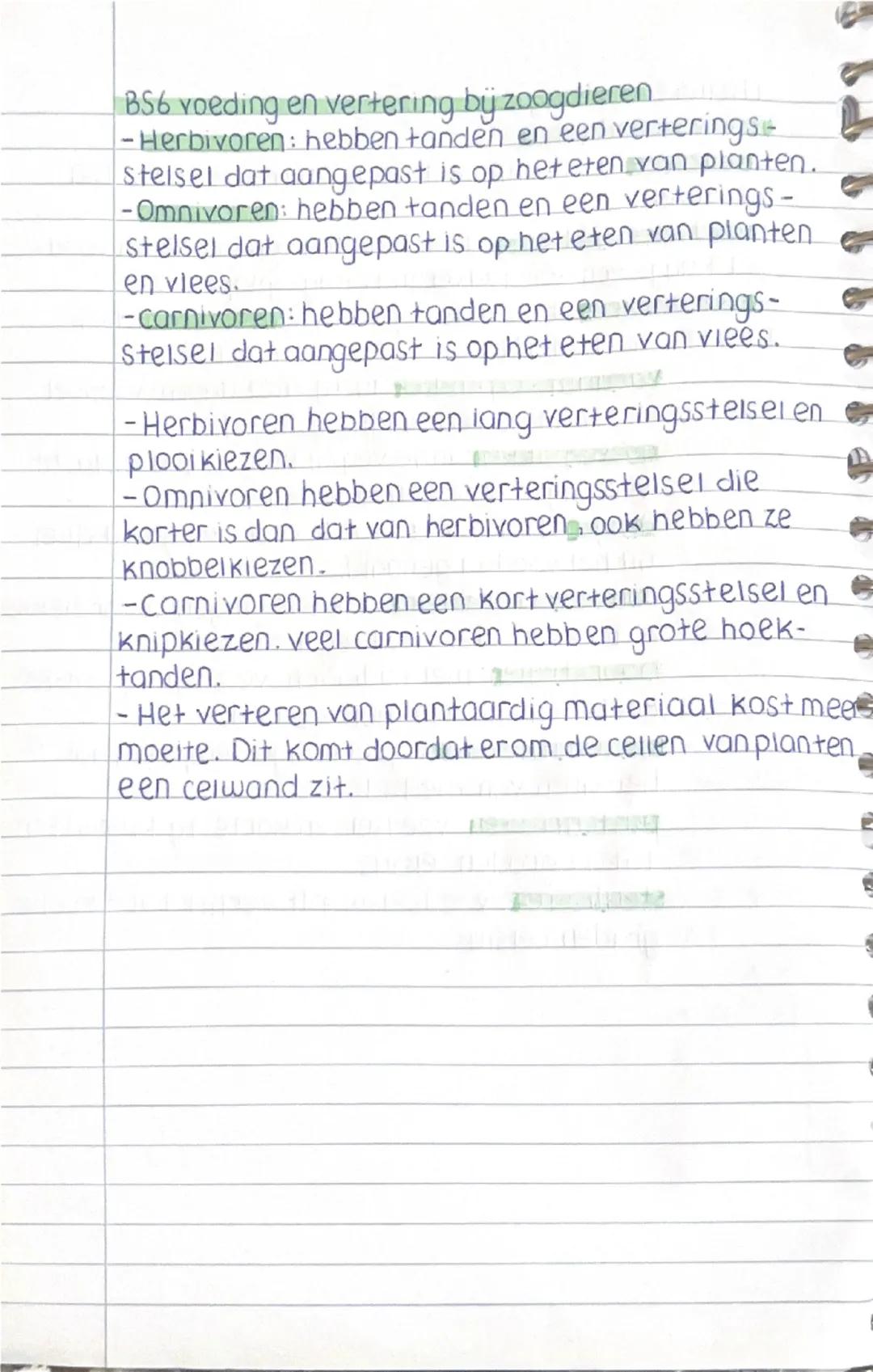 BS6 voeding en vertering by zoogdieren
-Herbivoren: hebben tanden en een verterings-
stelsel dat aangepast is op het eten van planten.
-Omni