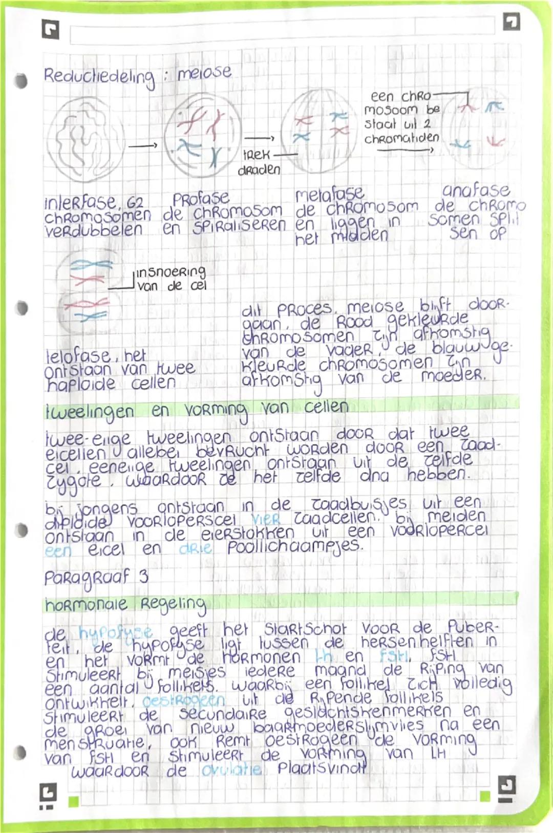 hoofdstuk 4 Paragraaf 1 belangrijke aspecten
embrynale ontwikkeling
eens Per maand komt er uit een van beide
eierstokken een eicel VR de eis