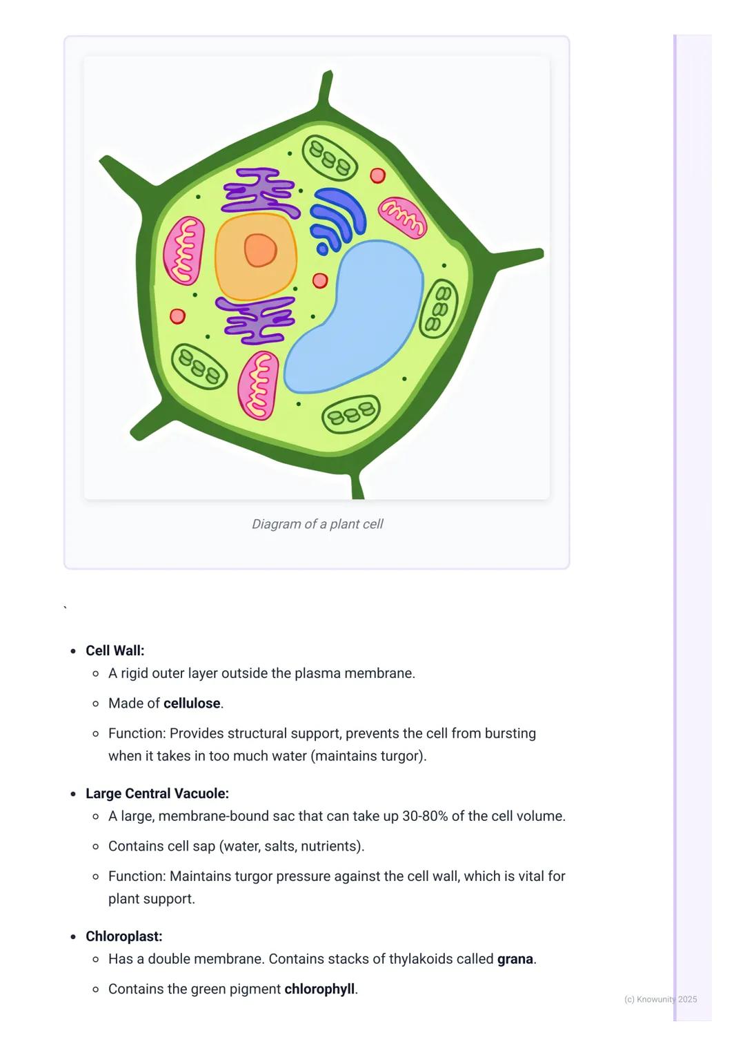 # Cell Structure and Function

Introduction to cell theory and types

The cell is the fundamental structural and functional unit of all know