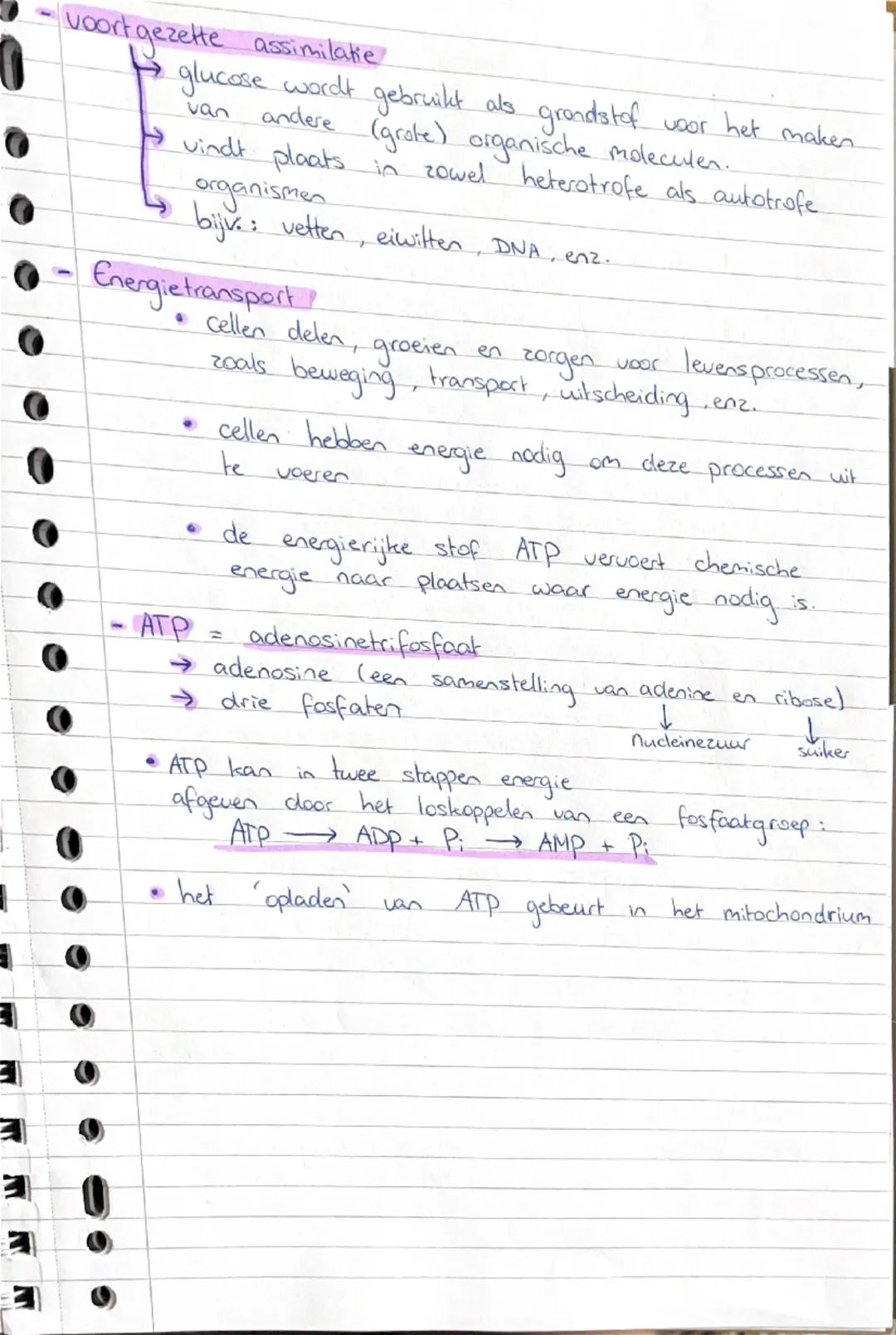 # Samanbakking Bio

## Thema & basisstof 1 chemic in cellen

- stofwisseling (metabolisme) is het geheel van chemische
  Omzettingsprocessen