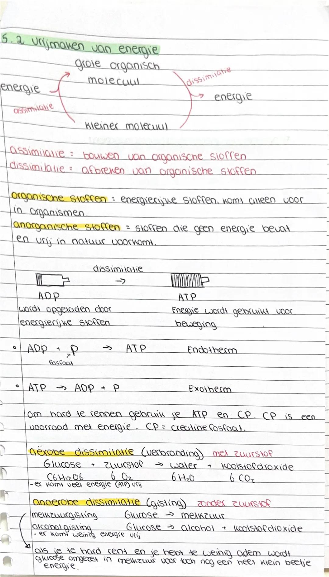 # Biologie  hoofdstuk 5

5.1 Plantaardige en dierlijke voedingsstoffen

## brandstoffen
- koolhydraten, vetten en eiwitten
- 3 groepen organ