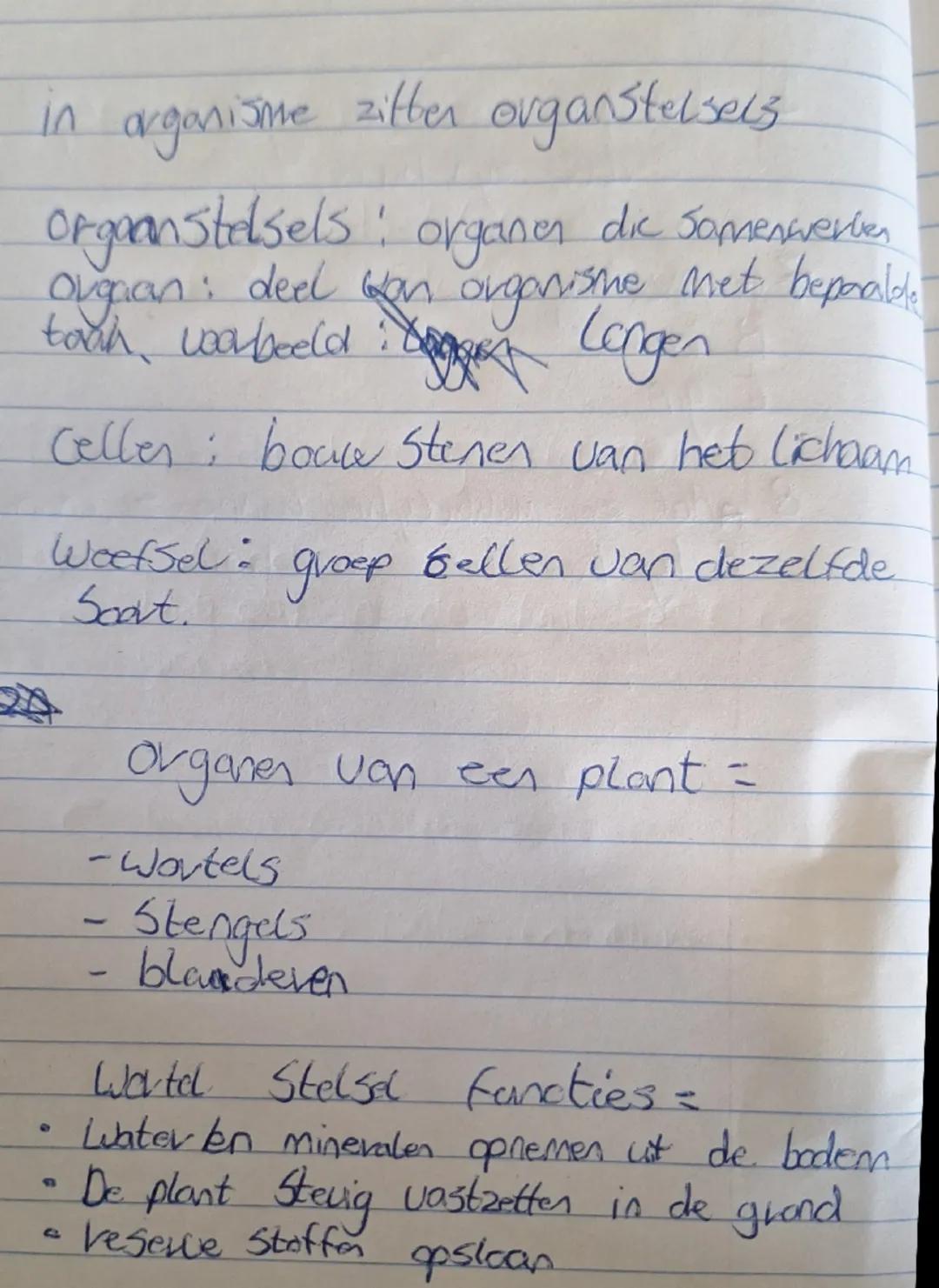 Biologie organisme orgaanstelsels cellen weefsels klas 1 havo vwo