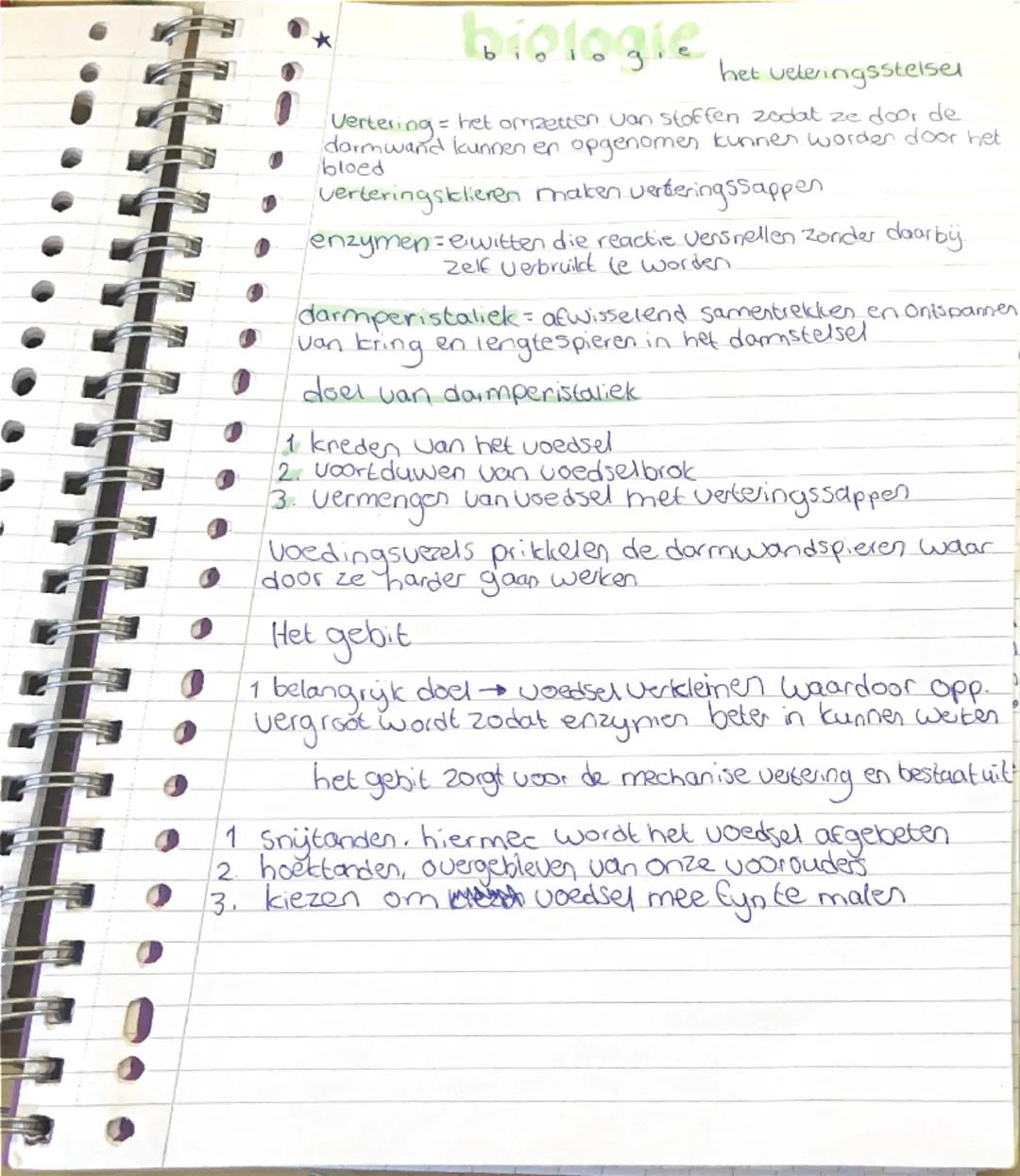 *
biologie
het veleringsstelsel

Vertering = het omzetten van stoffen zodat ze door de
darmwand kunnen en opgenomen kunnen worden door het
b