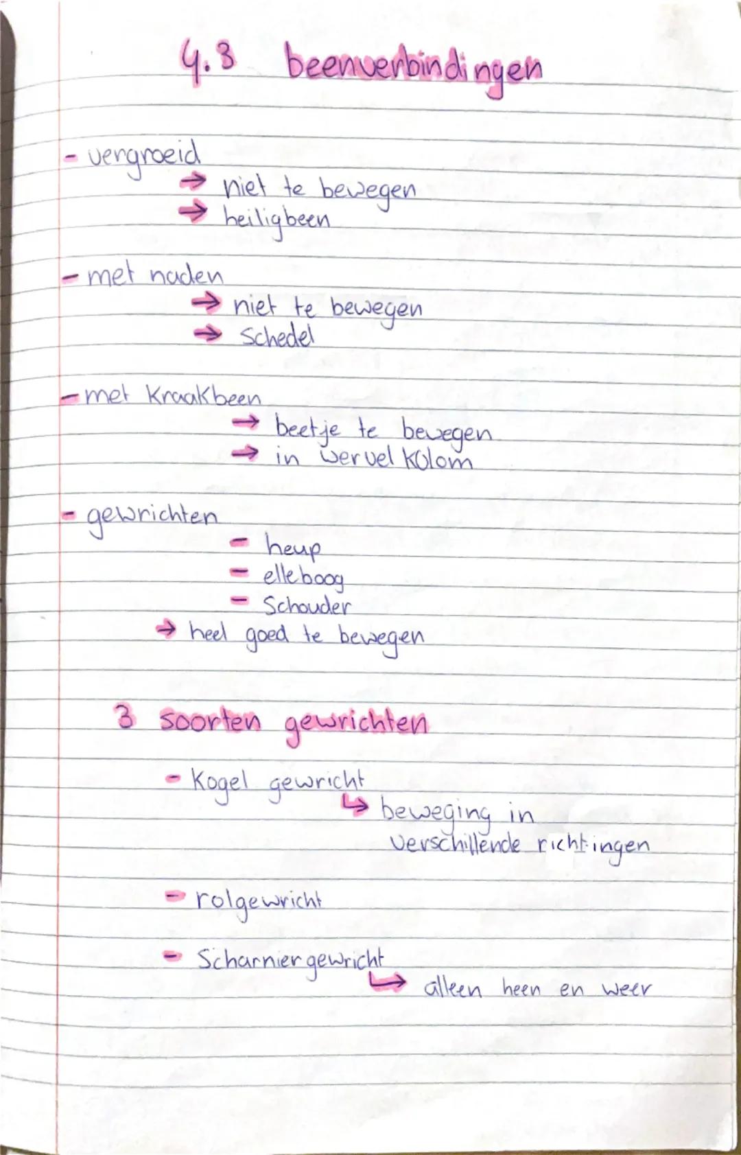 hand
4.1
Skelet
Skelet (geroomte) bestaan uit
ongu. 200 botten.
borstkas → borst wewels
→ ribben
→ borstbeen
Schoudergordel → Sleutel been
→