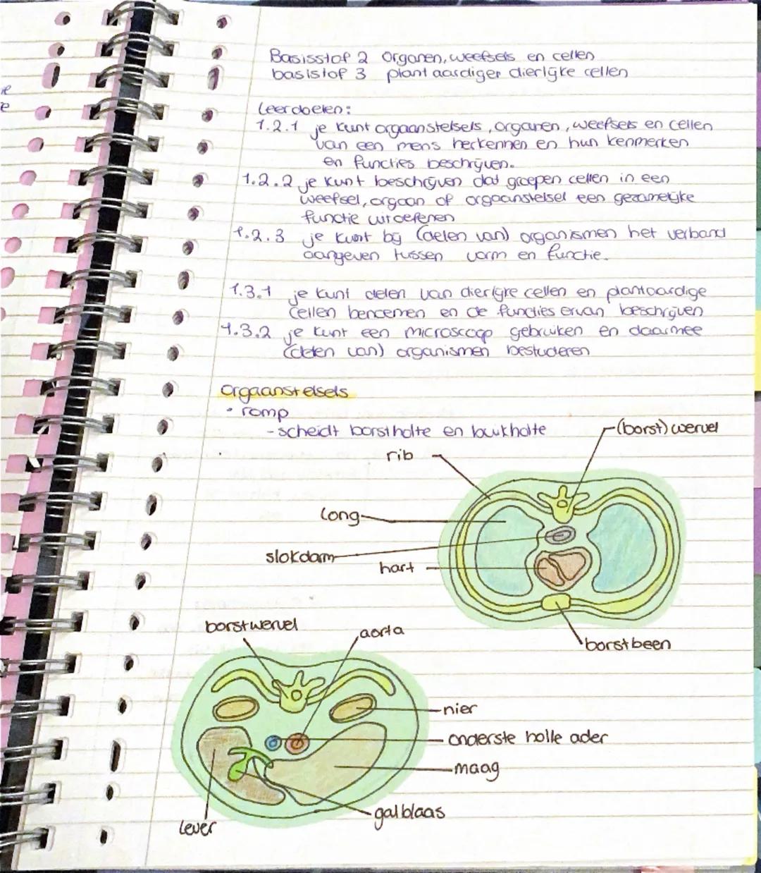 # Biologie Hoofdstuk 1

basisstof 1: biologie is overal

Leercbelen: Fje kunt beschrijven wat biologie is en
1.1.19 uitleggen dat biologie o