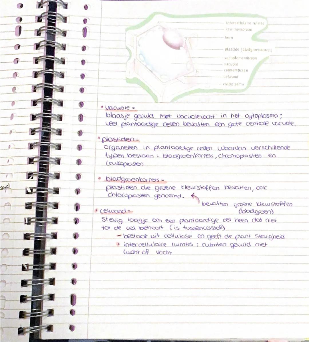 # Biologie Hoofdstuk 1

basisstof 1: biologie is overal

Leercbelen: Fje kunt beschrijven wat biologie is en
1.1.19 uitleggen dat biologie o