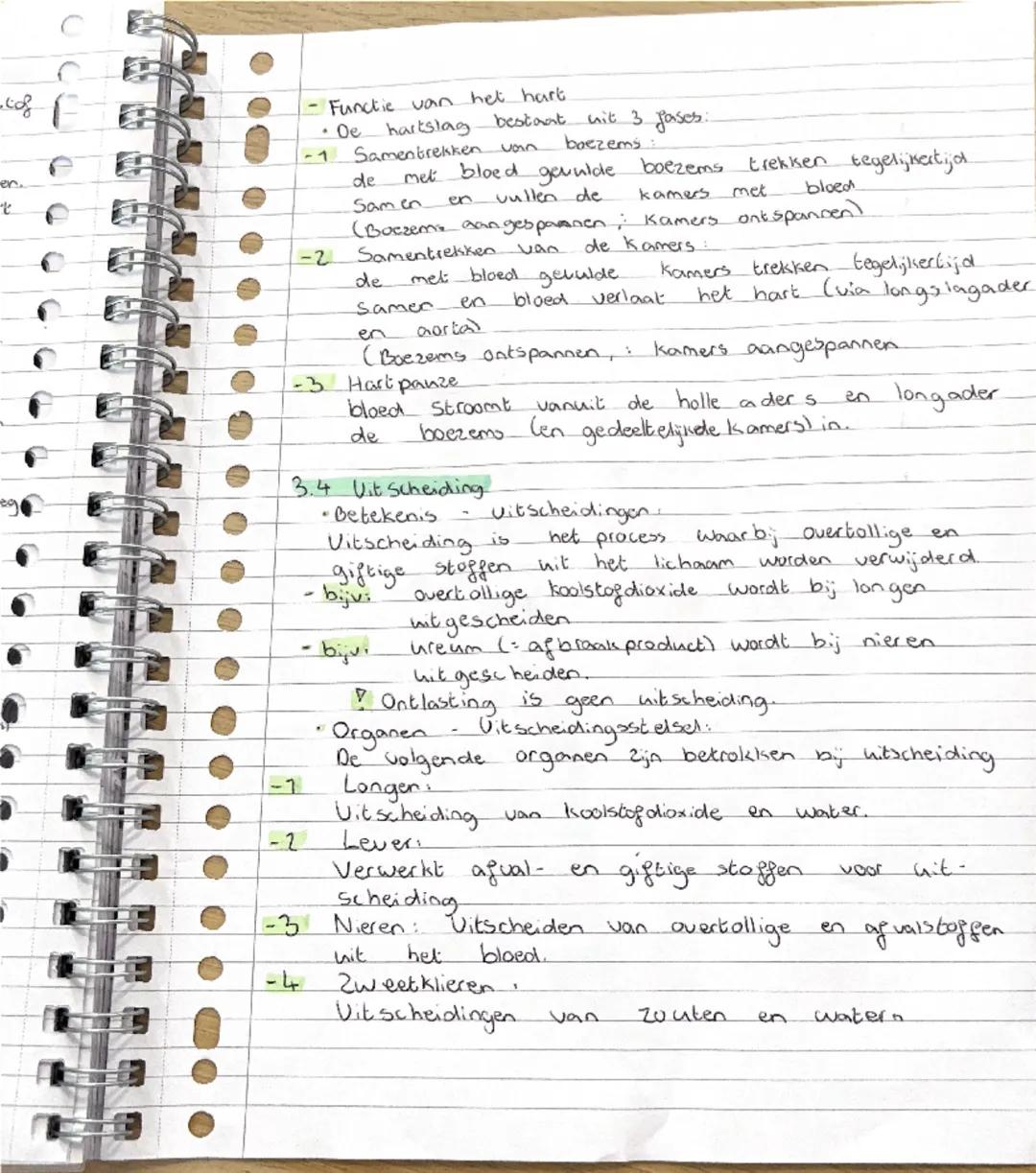 3.2 de bloedsomloop
• Typen Bloed vat
Het hark pompt bloed. door bloedvatten. De weg de
het bloed door je lichaam aflegt, noemje de
bloedsom
