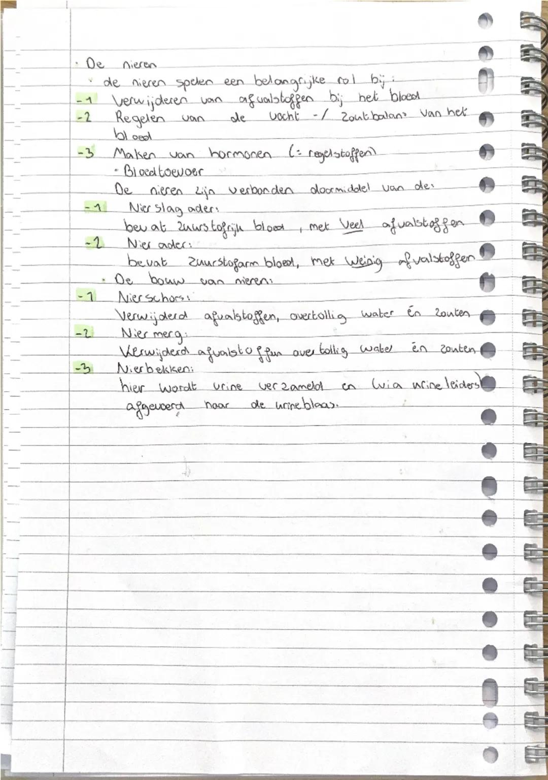 3.2 de bloedsomloop
• Typen Bloed vat
Het hark pompt bloed. door bloedvatten. De weg de
het bloed door je lichaam aflegt, noemje de
bloedsom