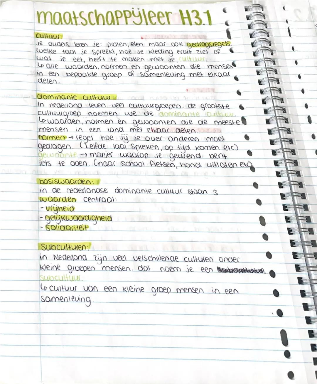 Maatschappijleer H3 Samenvatting