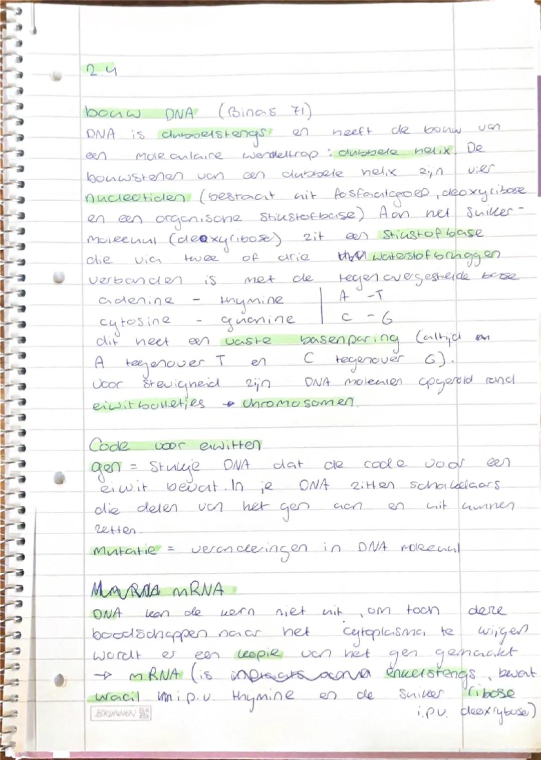 24

 bouw DNA (Binas 71).
DNA is dubbelstengs en neeft de bouw us
een Mole anlaice. Wendeltrap: dubbele nelix De
bouwstenen van cen dubbele 