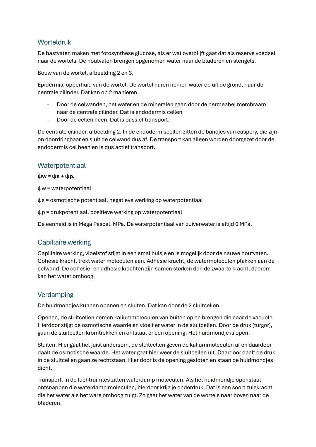 # Planten

Bouw

3 belangrijkste organen: Wortel, Stengel en het Blad.

3 verschillende weefsels

- Dekweefsel: vormt de buitenzijde en besc