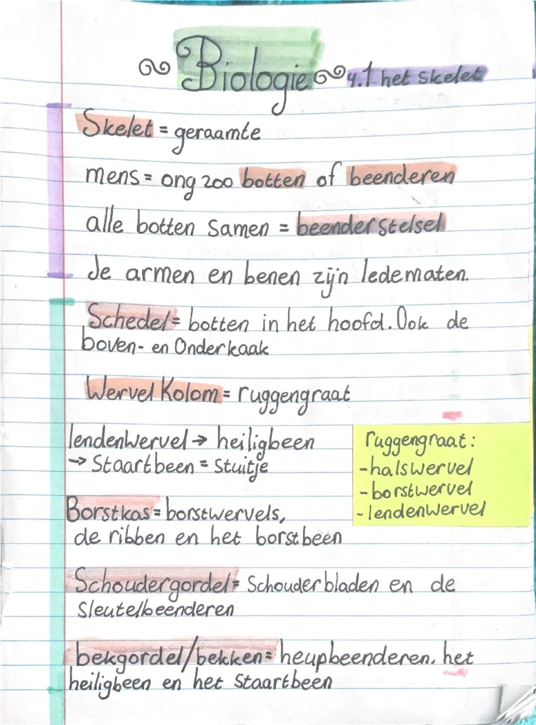 Biologie §4.1 het skelet havo 1