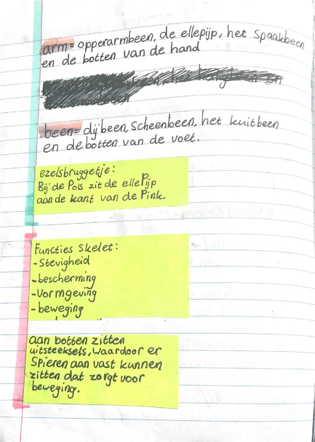 O

Biologies it het skalele

4.1
Skelet = geraamte

mens = ong 200 botten of beenderen

alle botten Samen = beender Stelsel

Je armen en ben
