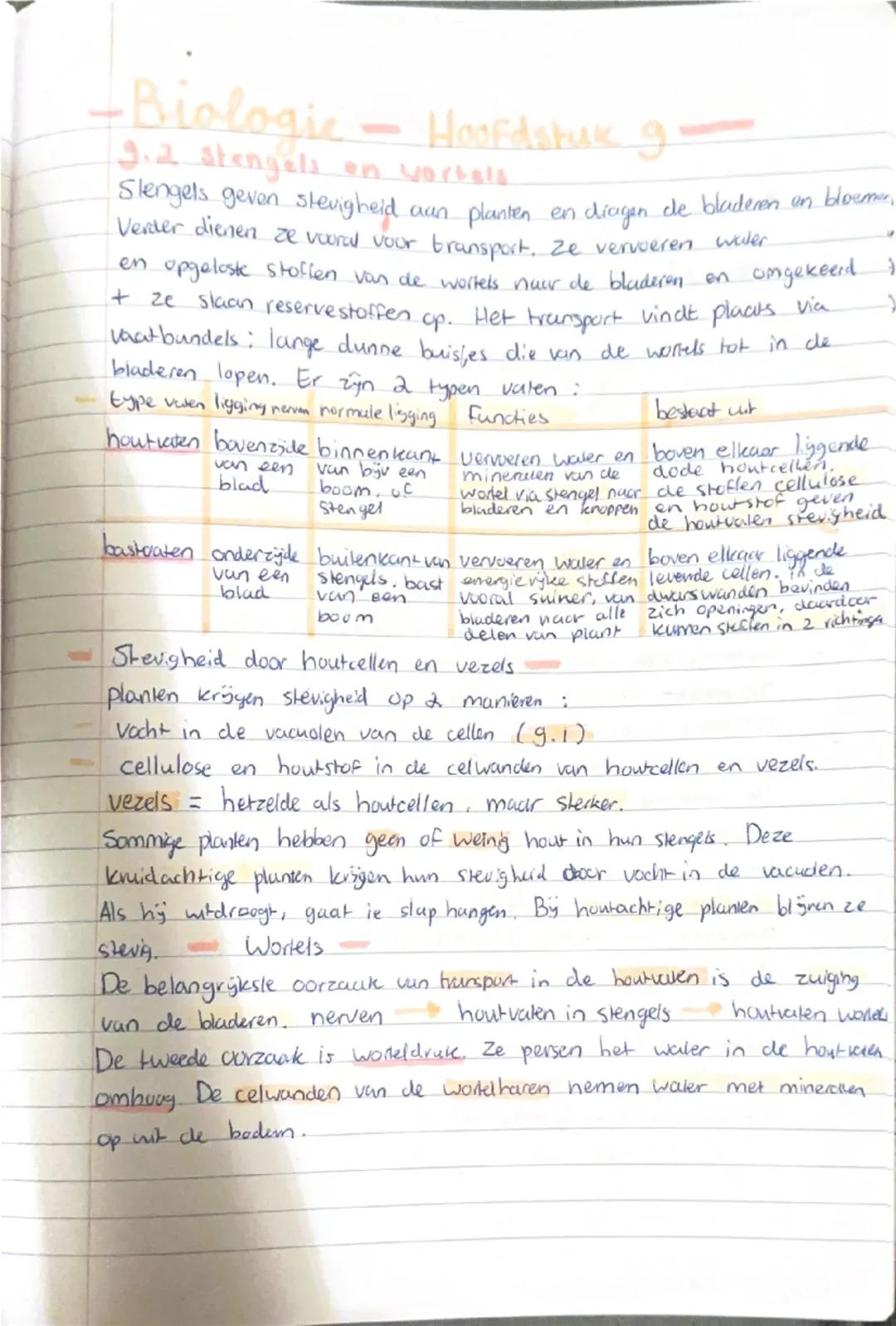 -Biologie-Hoofdstuk g

9.1 Bladeren.

Bladeren bestaan uit verschillende typen weefsels

opperhuid met huid mondjes: hierdoor worden gassen 