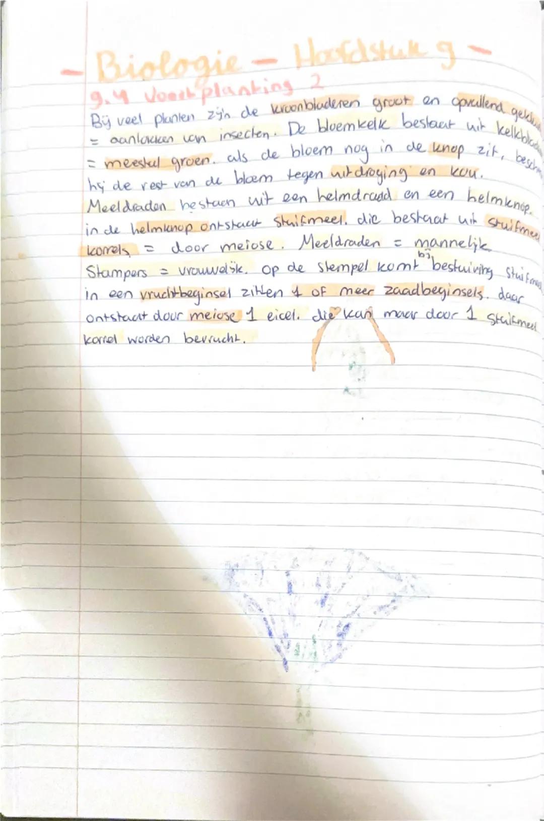 -Biologie-Hoofdstuk g

9.1 Bladeren.

Bladeren bestaan uit verschillende typen weefsels

opperhuid met huid mondjes: hierdoor worden gassen 