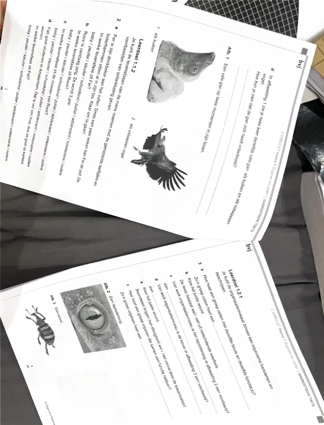 bvj
3 VMBO-GT thema 1 Organen en cellen | DIAGNOSTISCHE TOETS
Je kunt de opdrachten van de Diagnostische toets maken om je voor te
bereiden 