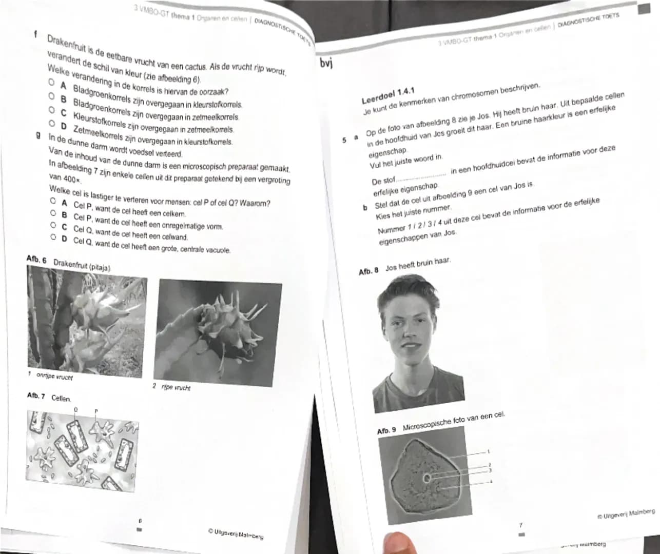 bvj
3 VMBO-GT thema 1 Organen en cellen | DIAGNOSTISCHE TOETS
Je kunt de opdrachten van de Diagnostische toets maken om je voor te
bereiden 