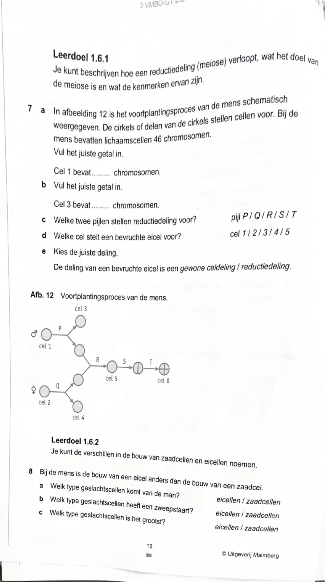 bvj
3 VMBO-GT thema 1 Organen en cellen | DIAGNOSTISCHE TOETS
Je kunt de opdrachten van de Diagnostische toets maken om je voor te
bereiden 