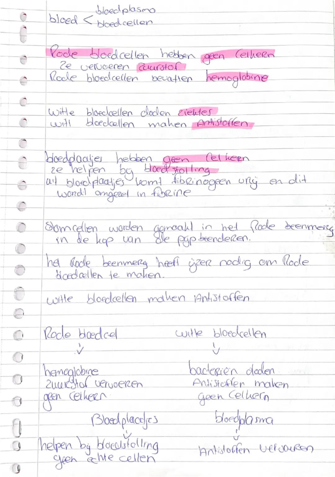 Basisstory Bloed

het bloed bestaat uit: Bloedplasma en bloeckellen

plasma 55% eiwit, water en opgeloste stoffen
de Rest 45% bloedcellen
* 