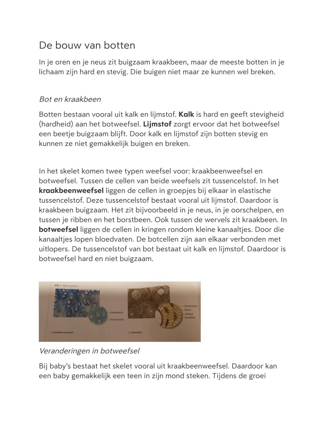 # De bouw van botten

In je oren en je neus zit buigzaam kraakbeen, maar de meeste botten in je
lichaam zijn hard en stevig. Die buigen niet