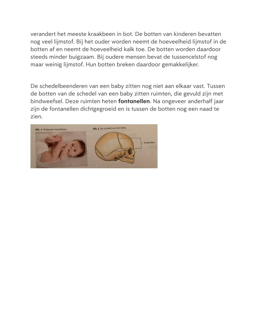 # De bouw van botten

In je oren en je neus zit buigzaam kraakbeen, maar de meeste botten in je
lichaam zijn hard en stevig. Die buigen niet