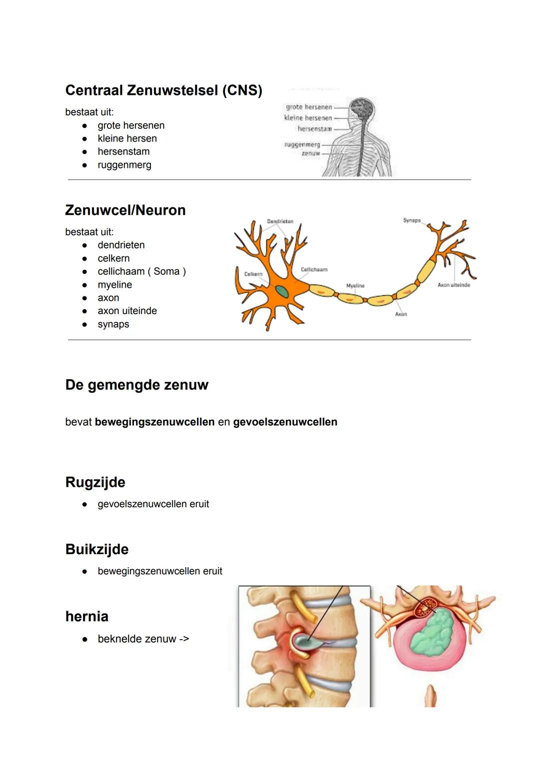 biologie regeling mavo 4