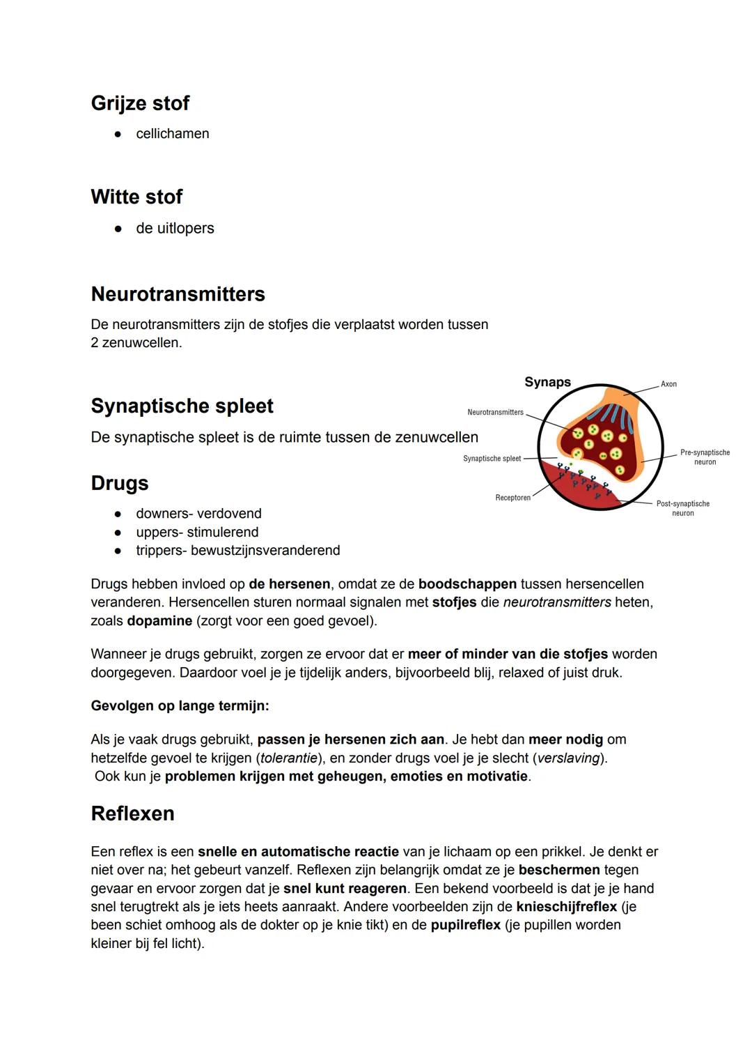 Centraal Zenuwstelsel (CNS)
bestaat uit:
- grote hersenen
- kleine hersen
- hersenstam
- ruggenmerg

grote hersenen
kleine hersenen
hersenst