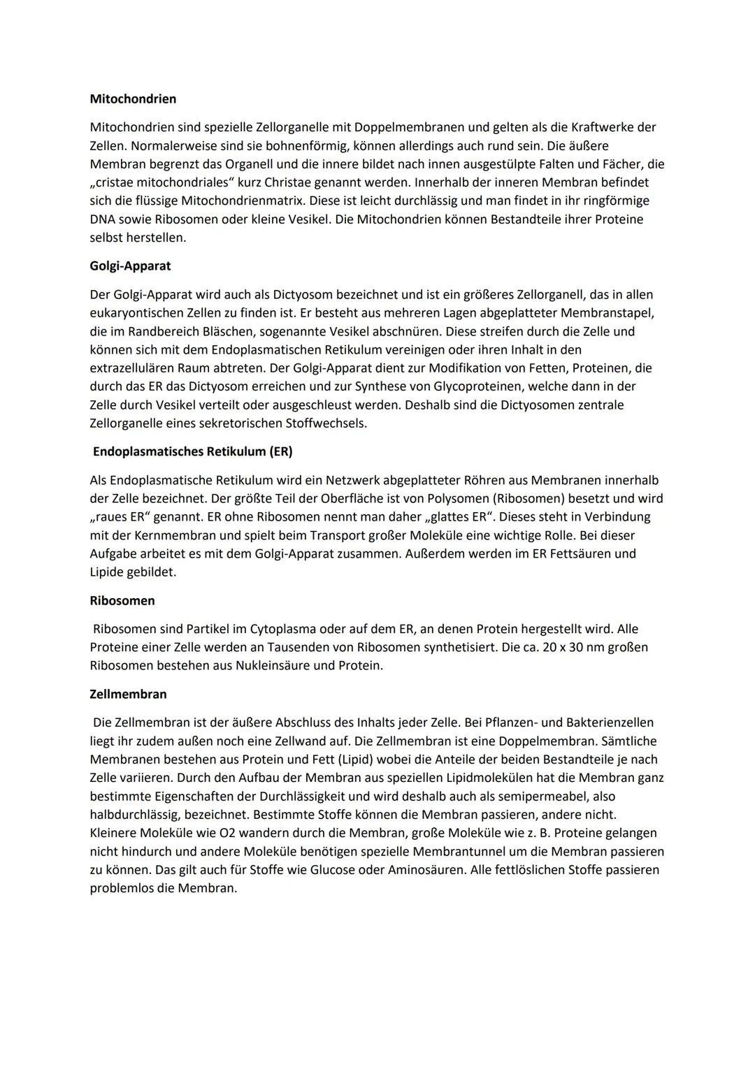 # Struktur und Funktion von Zellorganellen

Endoplasmatisches
Reticulum

Zellkern

Zellmembran

Mitochondrien

Golgi-Apparat

Zytoplasma

Ly