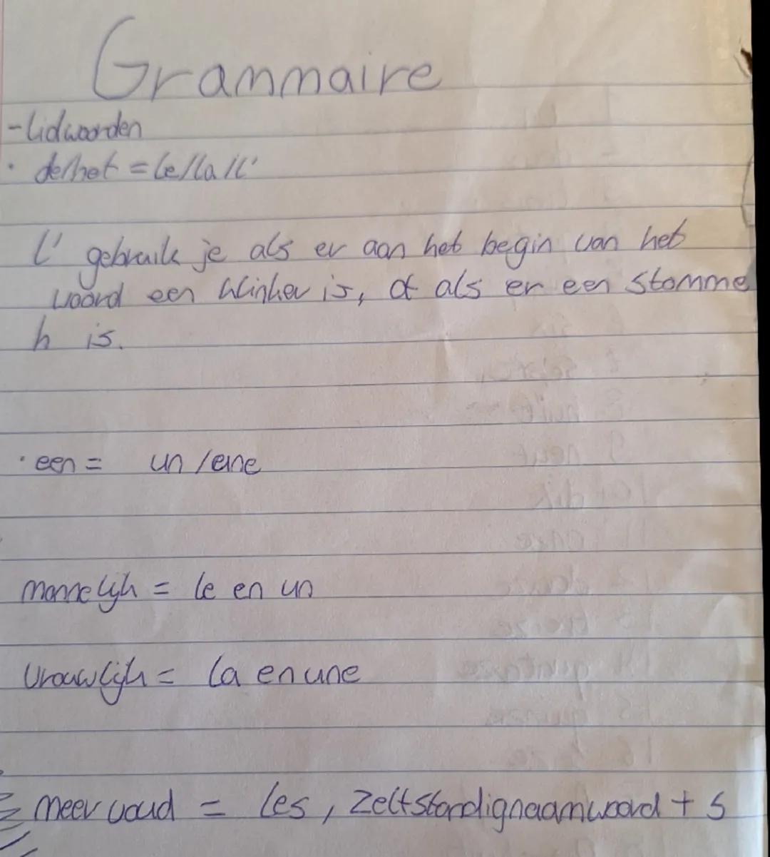 Grammaire
-lidwoorden
• de/het = le/la/l'
l' gebruik je als er aan het begin van het
woord een klinker is, of als er een stomme
h is.
•een =