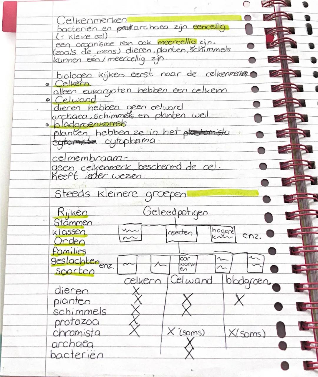 biologie
Thema 3-ordening
p.1-steeds kleinere groepen
leerdoelen:
01. Je kunt organismen indelen in hoofdgroepen en
rijken.
02. Je kunt de c