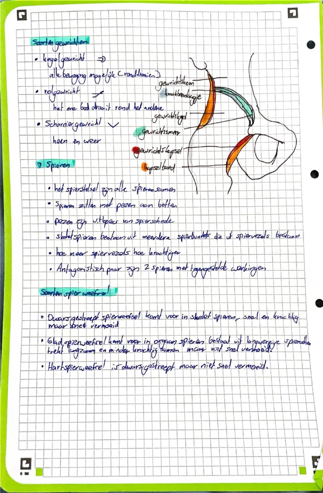 •
biologie hst 4
bouw van botten etc!
• roodbeen merg zit in koppen van pijpbeenderen en in platte beenderen
• In roodbeenmerg ontstaan bloe
