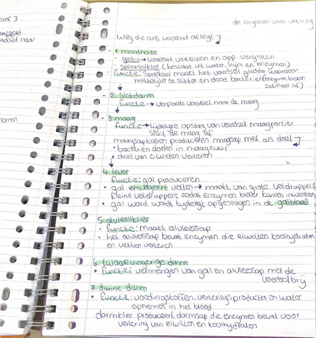 stol 3
recteerd
bedsel naar
ornen
0
.
Weg die ons voedsel aflegt 7
1. mondholte
de organen voor vete.ng
*   gebit voedsel verkleinen en opp.